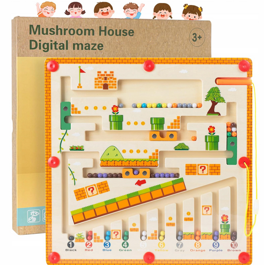 Montessori Magnetic Maze Board