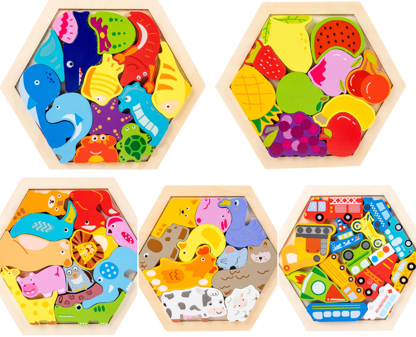 Montessori 3D Wooden Puzzle