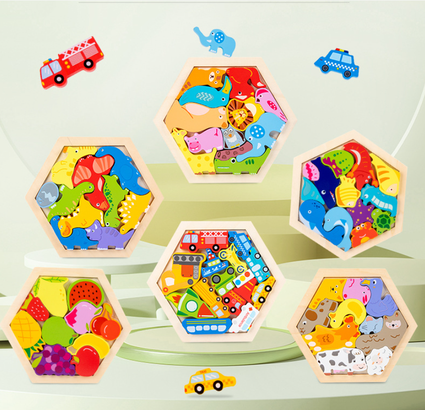 Montessori 3D Wooden Puzzle – Project Montessori