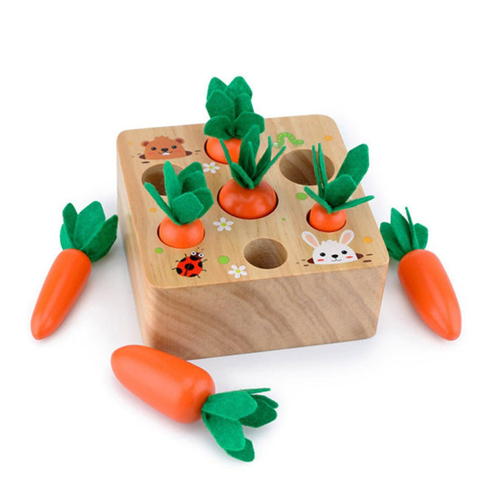 Best Seller: Carrots Harvest Box – Project Montessori